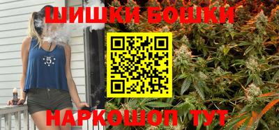 сатива Гатчина