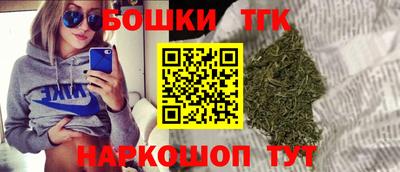 сатива Гатчина