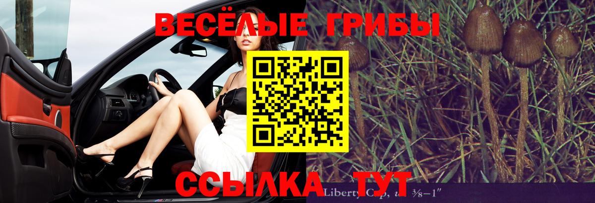 Галлюциногенные грибы MAGIC MUSHROOMS Нижнеудинск